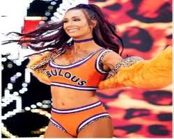 Before pursuing a career in wrestling, she served as a cheerleader for the  New England Patriots for three seasons and as a Laker Girl in the 2010-201